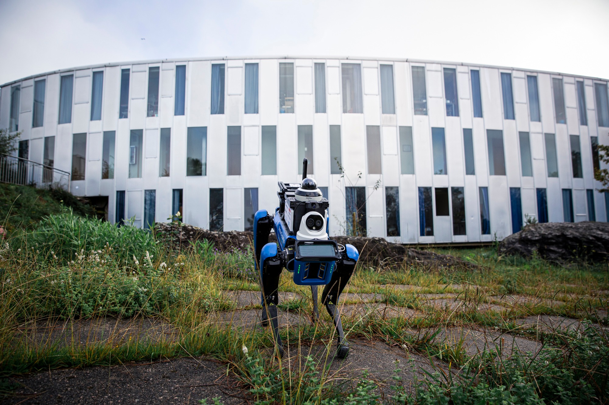 Seguridad y Protección de Infraestructuras